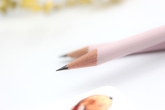 Stift, Krone, Onlineshop, Königsknöpfe, Bleistift, für Groß und Klein, Onlineshop, Kinder, Papeterie, Illustration, individuell