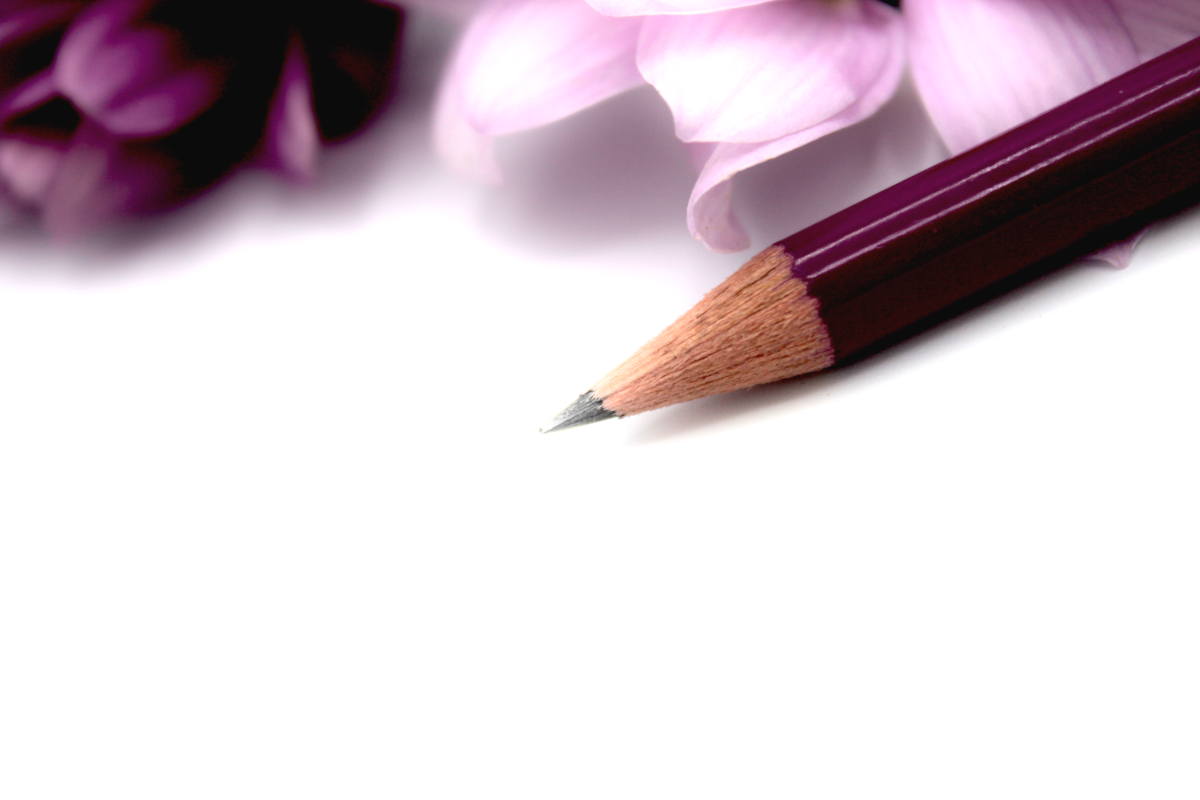 Stift, Krone, Onlineshop, Königsknöpfe, Bleistift, für Groß und Klein, Onlineshop, Kinder, Papeterie, Illustration, individuell