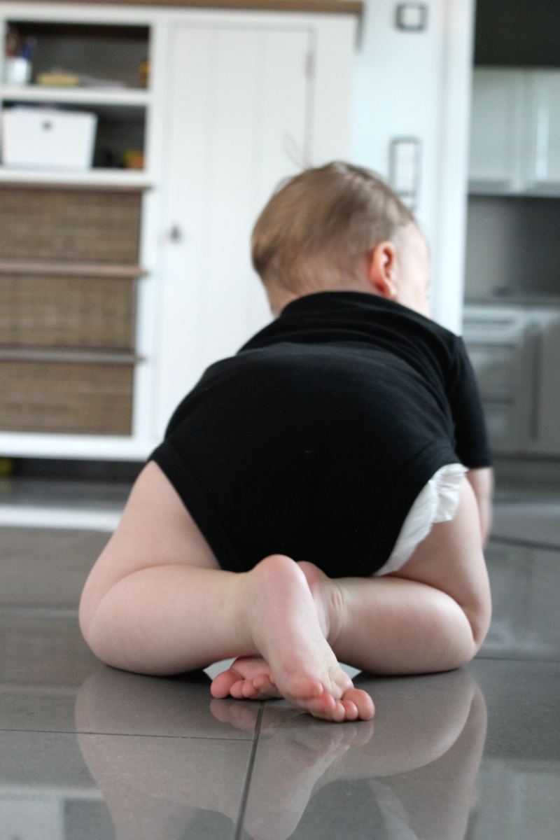 Kategorie Sweatshirt Baby Kleinkind Schuler Kinder Säugling Schwangerschaft Geburt Königsknöpfe Bekleidung Kinder Kinderklamotten Selbstgemacht Geschenke Geburt Schwangerschaft Mutter Eltern Schule Geburtstag Geburtstagsgeschenk Einschulung Kindergarten Kita Pulli Pullover langarm Kurzarmshirt Shirt Kurzarmbody Body Babybody