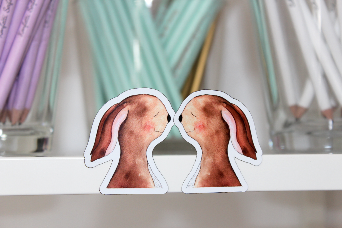 Magnet Set "Hasennasen"