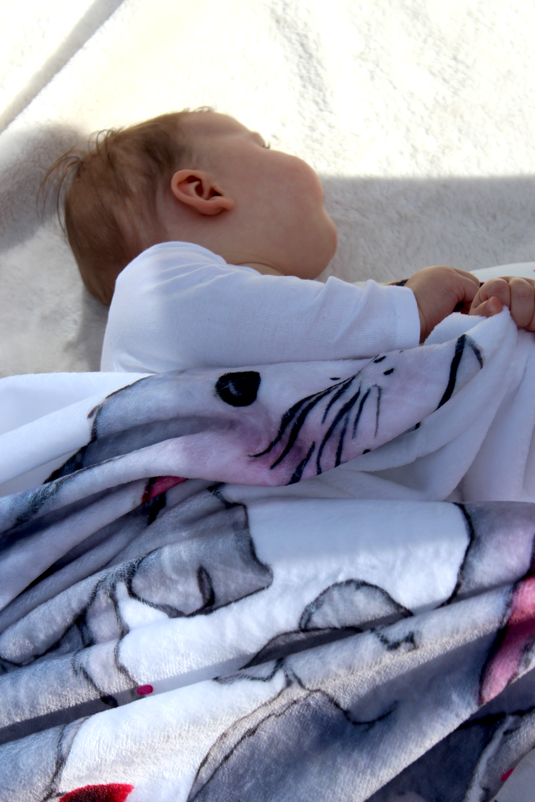 Königsknöpfe Kategorie Superweiche Kuscheldecke Selbstgemacht Geschenke für Klein und Groß Kinder Schule Kindergarten Kleinkind Schüler Schule Geburtstag Geburt Baby Säugling Schwangerschaft Geburt
