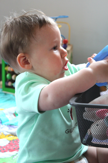 Kategorie Sweatshirt Baby Kleinkind Schuler Kinder Säugling Schwangerschaft Geburt Königsknöpfe Bekleidung Kinder Kinderklamotten Selbstgemacht Geschenke Geburt Schwangerschaft Mutter Eltern Schule Geburtstag Geburtstagsgeschenk Einschulung Kindergarten Kita Pulli Pullover langarm Kurzarmshirt Shirt