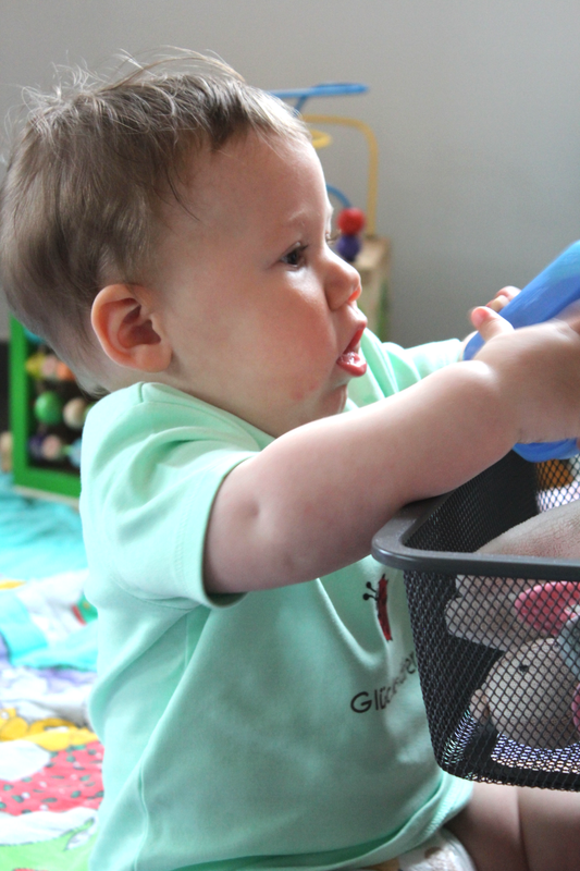 Kategorie Sweatshirt Baby Kleinkind Schuler Kinder Säugling Schwangerschaft Geburt Königsknöpfe Bekleidung Kinder Kinderklamotten Selbstgemacht Geschenke Geburt Schwangerschaft Mutter Eltern Schule Geburtstag Geburtstagsgeschenk Einschulung Kindergarten Kita Pulli Pullover langarm Kurzarmshirt Shirt