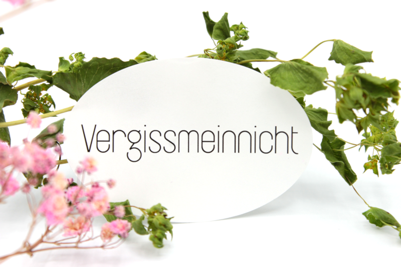 Stciker Königsknöpfe Vergissmeinnicht Aufkleber